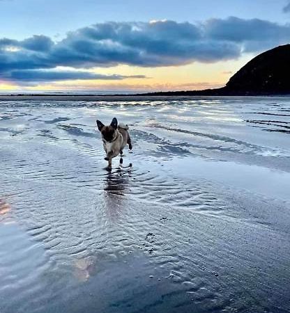 Lovely Coastal House In The Western Lake District Minimum 3 Night Stay St Bees Kültér fotó