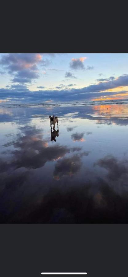 Lovely Coastal House In The Western Lake District Minimum 3 Night Stay St Bees Kültér fotó
